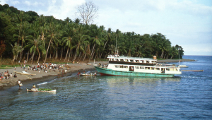 The ferry stops to pick up people, livestock and produce.