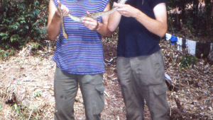 The reptile guys with a python. Ron Lilley on the right.
